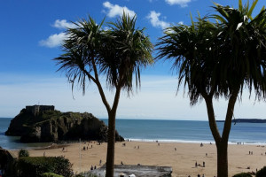 palm trees on beach