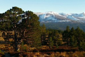mountain