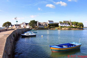 harbour in a town